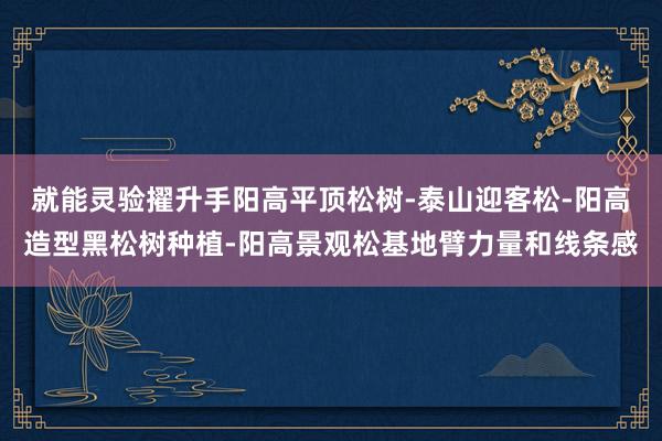 就能灵验擢升手阳高平顶松树-泰山迎客松-阳高造型黑松树种植-阳高景观松基地臂力量和线条感