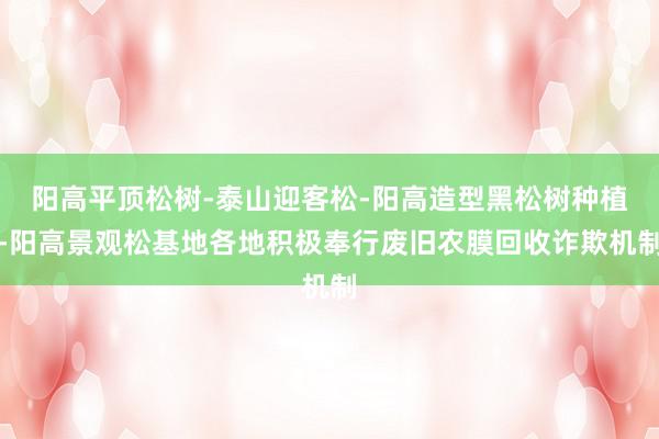 阳高平顶松树-泰山迎客松-阳高造型黑松树种植-阳高景观松基地各地积极奉行废旧农膜回收诈欺机制